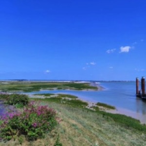 Les baies de Somme, Beauvais et Amiens 👌 #france #landscape #nature #sea